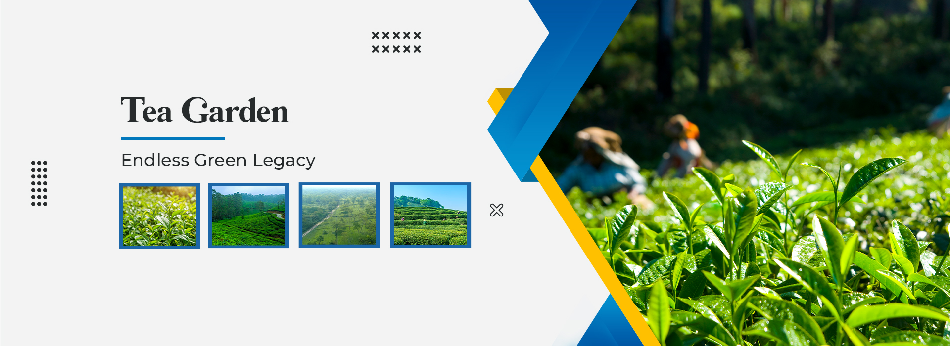 Sunil Kumar Kundu Group